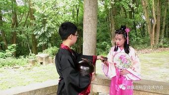 和叶美玲作品在线观看,在线观看，感受独特艺术魅力  第1张