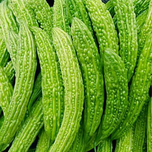 适合娱乐吃瓜的头像,吃瓜群众必备头像大集合  第2张