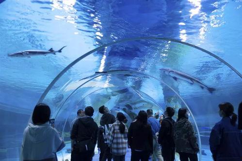 水底世界爆料视频大全,水底世界爆料视频大全精彩回顾  第1张